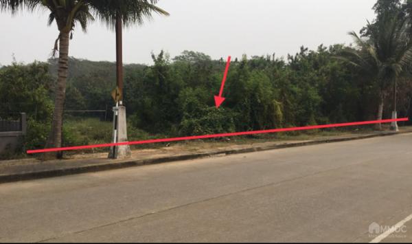 Land for sale, Chiang Rai